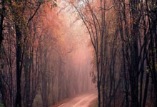 金年会jinnianAPP：CBA官宣周最佳：孙铭徽本季首次生涯第5次 利夫第4次当选.