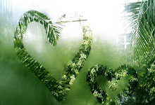 金年会jinnian平台：373名网球小将赛场竞逐 东莞市首届学生运动会网球比赛开赛.