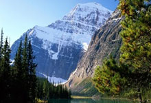 锦织圭自曝接近退役 2020或缺席澳网只想打好奥运.